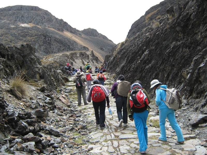 CAMINATA (5)